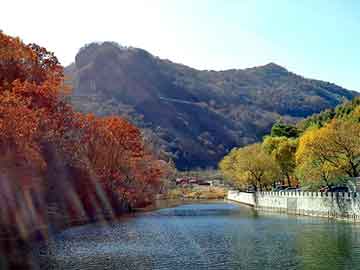 澳门天天免费精准大全，家电面板